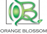 OBHSR_logo
